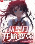 从型月开始变强