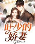 叶少的娇妻