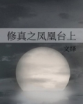修真之凤凰台上