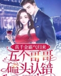 真千金霸气归来,五个哥哥磕头认错