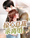 掠心总裁求离婚