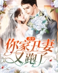 苏少,你家丑妻又跑了