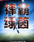 锋霸绿茵