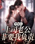 替嫁后上司老公非要我负责