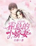 天价宠婚:霍总的小娇妻