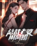 总裁老婆闹离婚,我摊牌了