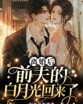 离婚后,前夫的白月光回来了