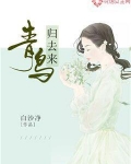 青鸟归去来
