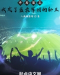 开局国王,我成了蓝衣军团的新王