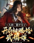 大唐:躺平皇子,开局被赐婚武媚娘