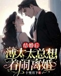结婚后,薄太太总想着闹离婚