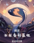 精灵:我能看到属性