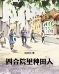 四合院里种田人