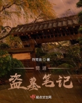 劈进盗墓笔记