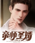 帝师圣婿