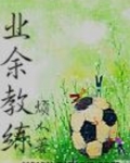 业余教练