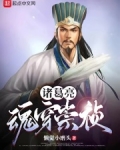 诸葛亮魂穿崇祯