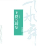 飞舞的暗使