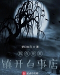 我在任家镇开白事店
