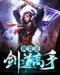 我竟是剑道高手