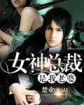 女神总裁是我老婆