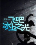飞吧,冰上之光