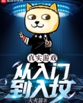 真实游戏:从入门到入坟