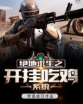 绝地求生之开挂吃鸡系统